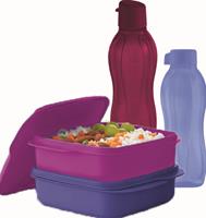 2x  DVD SQUARE LUNCHER 550ML &  500ML ECO BOTTLE and 1l bottle