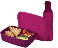 DIV LUNCHBOX + BOTTLE (RADISH)