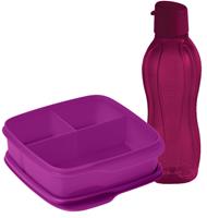 DVD Square Luncher 550ml & Eco Bottle 1l (Amethyst)