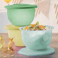 Inspirations Bowl 1.3L (3)