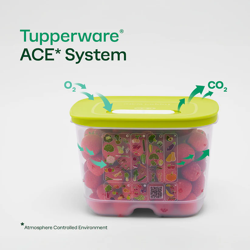 Tupperware® FridgeSmart® 1.8L (Margarita) – image 2