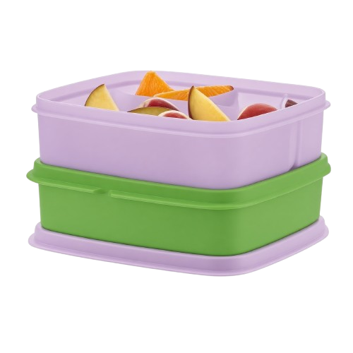 Divided Luncher (2)