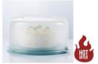 Exclusive Collection Cake Taker (Dolphin)