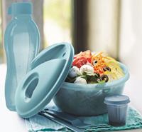 SALAD ON THE GO & FREE BOTTLE